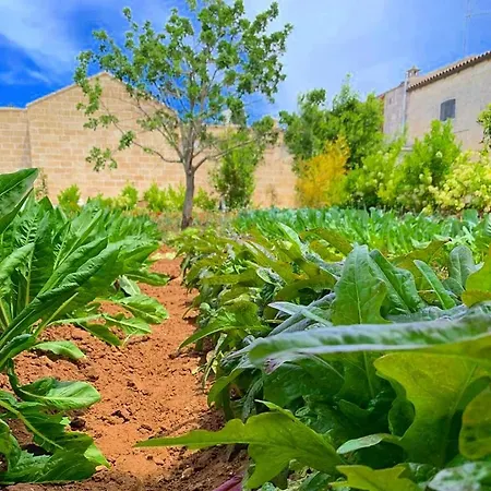 Masseria Vittoria Acaya
