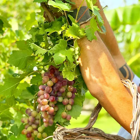 Masseria Vittoria Country house